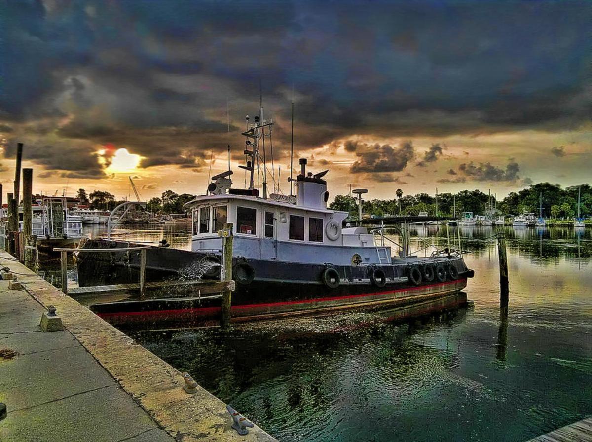 Villa Hibiscus Hideaway à Tarpon Springs Extérieur photo